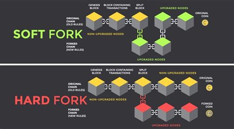 Soft Fork vs Hard Fork - A Comparative Guide | Shardeum - coolestguyplanet.net