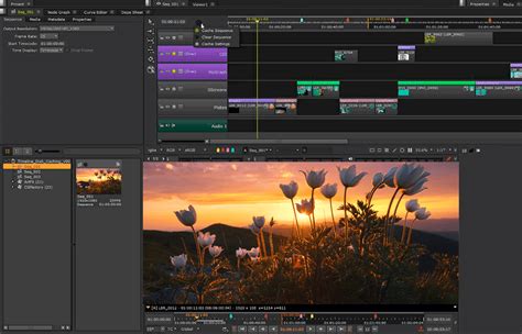 Software for Compositing & VFX - muktibox.com