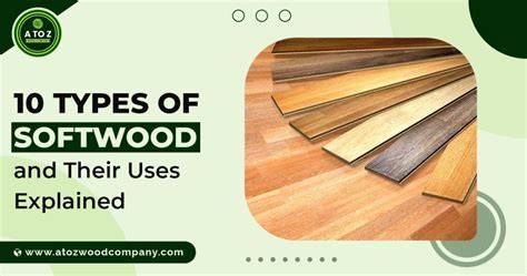 Softwood | Uses, Processing and Global Markets - raincitystudios.com