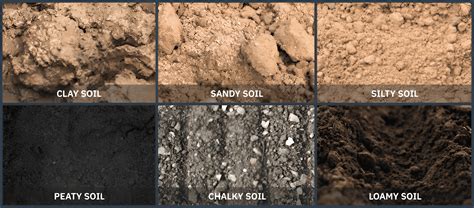 Soil & Groundwater Remediation - Department of Energy - muktibox.com