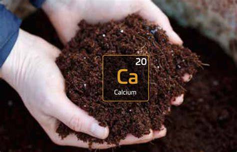 Soil And Calcium - How Calcium Affects Plants - raincitystudios.com