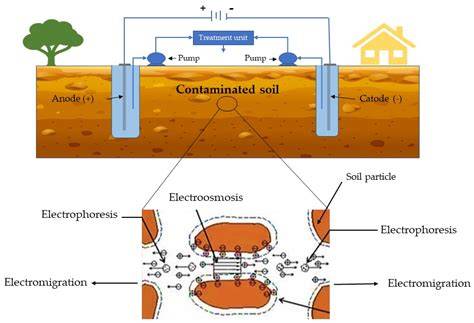 Soil and Water Pollution Process and Remediation … - raincitystudios.com