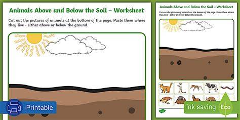 Soil animals - Wikiwand - raincitystudios.com