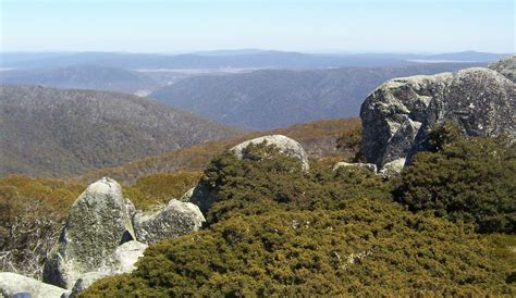 Soil Biodiversity And Ecoregions Montane Grassland And Shrubland - raincitystudios.com