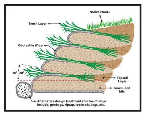 Soil Bioengineering Using Vetiver for Climate-Adaptive Slope Repair ... - raincitystudios.com