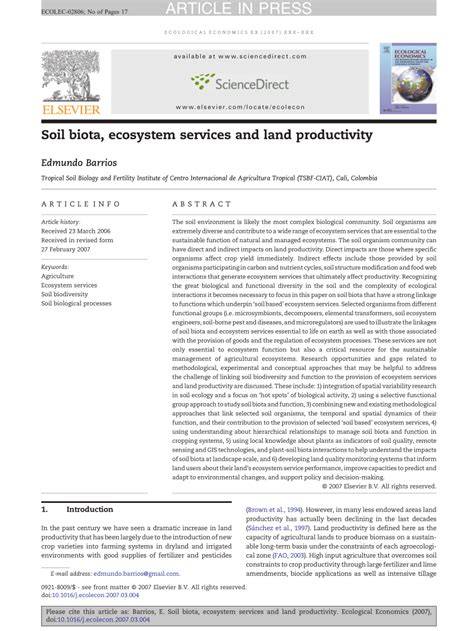 Soil biota, ecosystem services and land productivity - raincitystudios.com