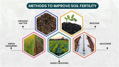Soil Chemical Properties, Nutrient Dynamics and Fertility Management - wintechmobiles.com