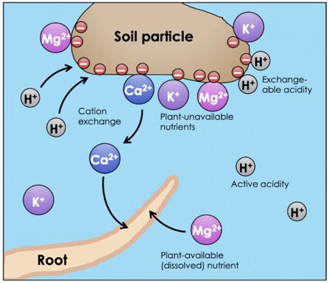 Soil Chemistry and its Applications - wintechmobiles.com