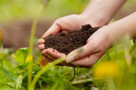 Soil Chemistry for Sustainable Farming - wintechmobiles.com