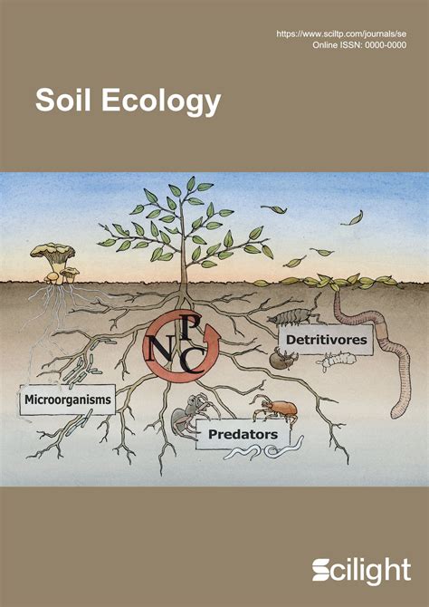 Soil ecology - raincitystudios.com