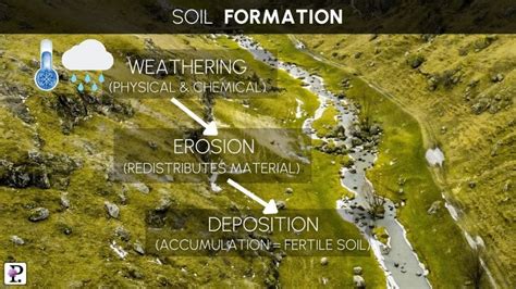 Soil Formation and Erosion - AP Environmen... | Practice Hub - raincitystudios.com