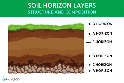 Soil Horizon Layers Explained Simply - soilcare.co.uk - wintechmobiles.com