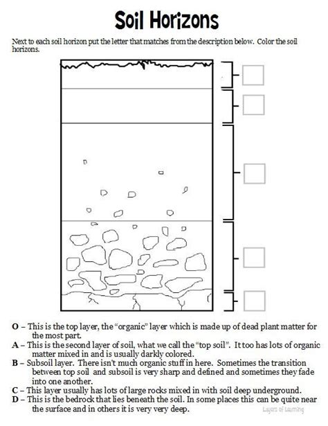 Soil Horizons and Deposition Flashcards | Quizlet - wintechmobiles.com
