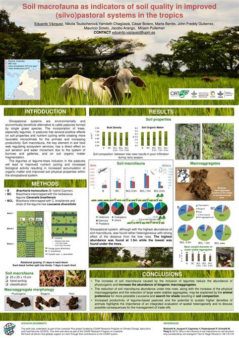 Soil macrofauna as an indicator for evaluating soil based ecosystem ... - raincitystudios.com