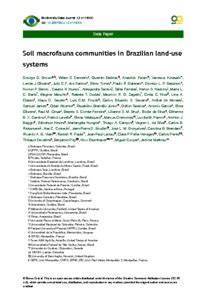 Soil macrofauna communities in Brazilian land-use systems - raincitystudios.com