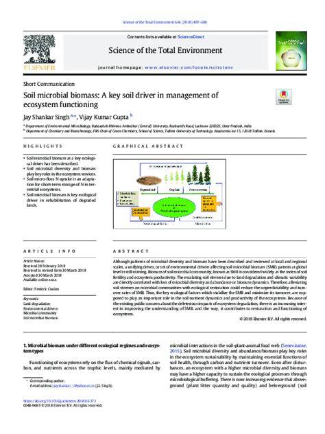Soil microbial biomass: A key soil driver in management of ecosystem ... - raincitystudios.com