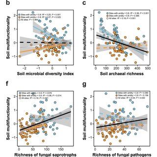 Soil microbial diversity–biomass relationships are driven by soil ... - raincitystudios.com
