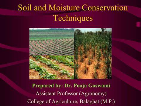 Soil Moisture Conservation Techniques: Understanding … - raincitystudios.com