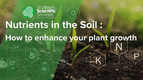 Soil Nutrients and Fertilizers - balustradellc