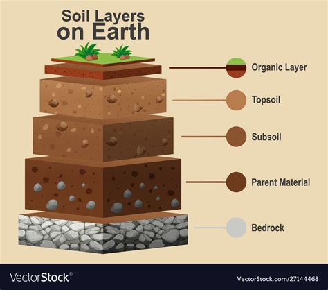 Soil Profile, Different layers of Soil, Key Details - muktibox.com