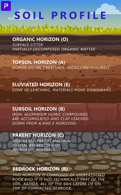 Soil Profile and Horizon - UPSC World Geography Notes - wintechmobiles.com