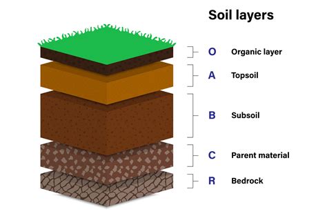 Soil Profiles - tocal.nsw.edu.au - wintechmobiles.com
