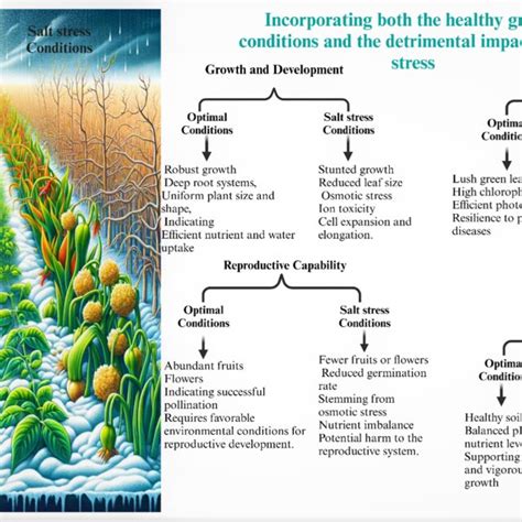 Soil salinity and drought tolerance: An evaluation of plant growth ... - raincitystudios.com