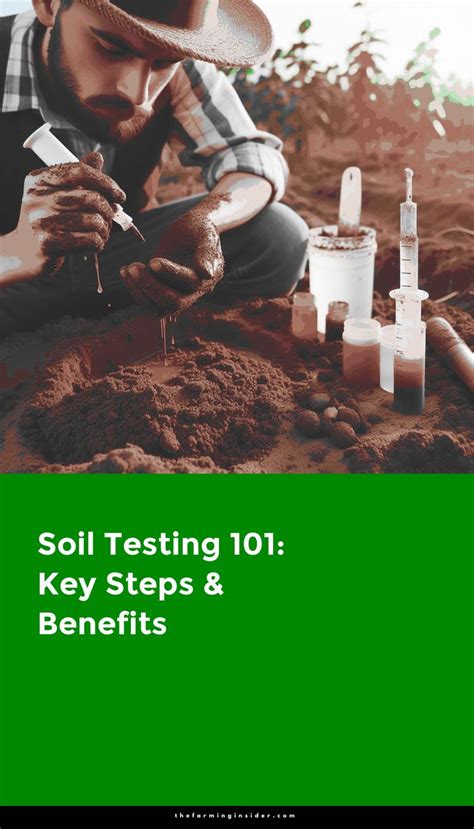 Soil Testing 101: Key Steps & Benefits - The Farming Insider - balustradellc