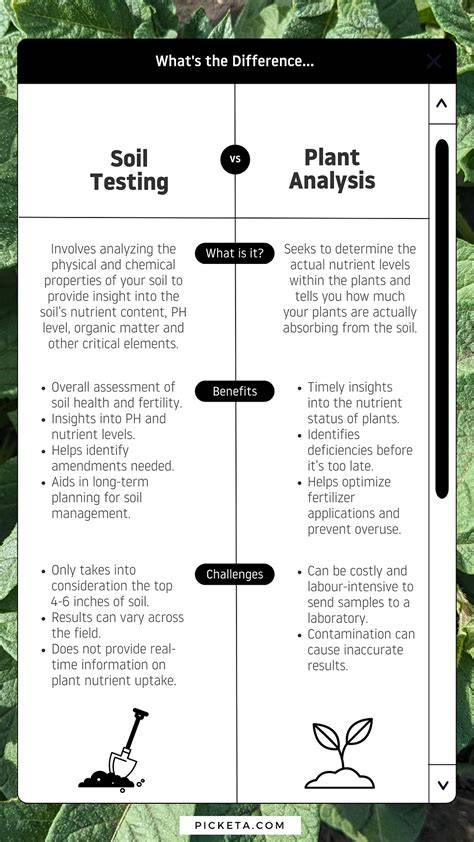 Soil Testing for Plant Growth and Analysis - raincitystudios.com