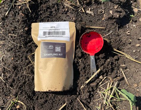 Soil Testing Kits: A Comprehensive Guide - balustradellc