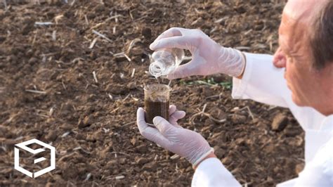 Soil Testing - Home Soil Analysis Kits | Rx Soil - raincitystudios.com