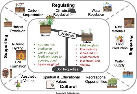 Soils and Ecosystem Services | Springer Nature Link - raincitystudios.com