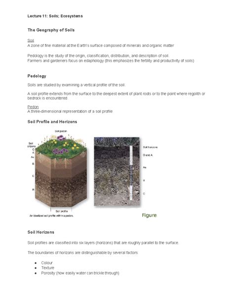Soils and Land Resources Final Exam, Key Concepts - Quizlet - wintechmobiles.com