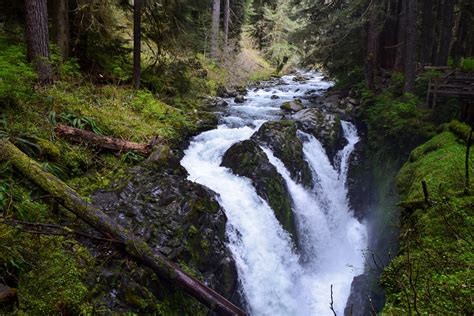 Sol Duc Falls - Washington Trails Association - raincitystudios.com