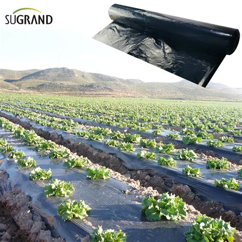 SOLAFILM Soil Biodegradable Mulch Film for Staked … - balustradellc