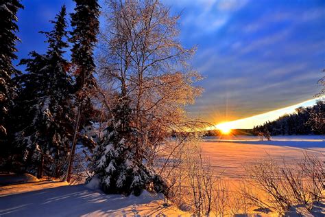 SOLEIL D'HIVER