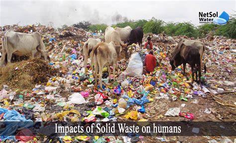 Solid waste treatment and disposal: effects on public health and ... - raincitystudios.com
