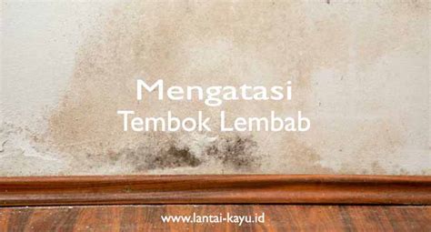 Solusi Tembok Lembab: Mengatasi Kelembaban pada … - balustradellc