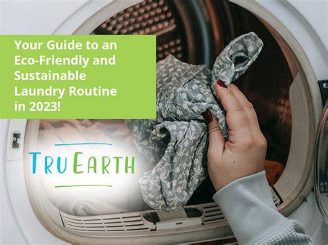Solutions for a Sustainable Laundry Routine - Micro-Fresh - raincitystudios.com