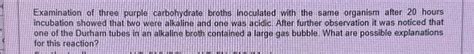 SOLVED: Examination of three purple carbohydrate broths - balustradellc