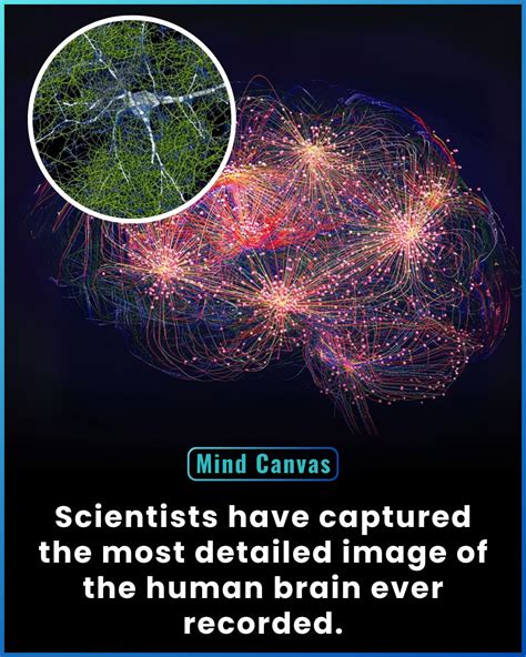 Solved In another study, scientists recorded brain activity - Chegg - balustradellc