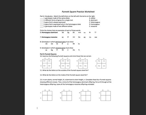SOLVED Square Practice Worksheet Part A Vocabulary Match the