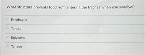 SOLVEDWhat is the name of the structure that prevents food from