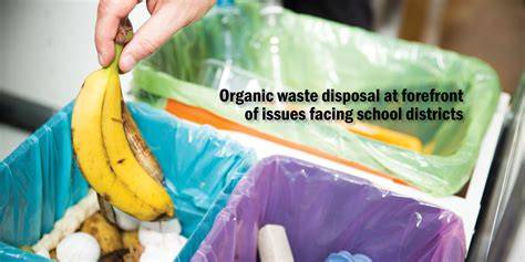 Solving Organic Waste in Schools - raincitystudios.com