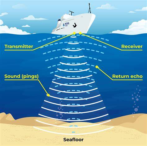 Sonar: Seeing with Sound - Deep Ocean Education … - raincitystudios.com