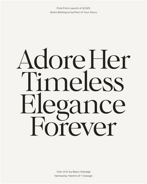 Sonder Elegant Serif Modern Editorial Typeface - Font Bundles - muktibox.com