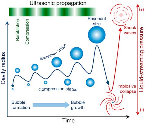 Sonochemical synthesis of nanoparticles from bioactive compounds ... - wintechmobiles.com