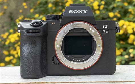 Sony α7 III Review - balustradellc