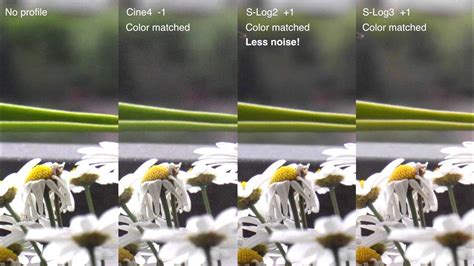 Sony a6300 test: S-Log2 vs. S-Log3 vs. Gamma Cine4 - balustradellc