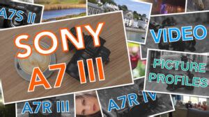 Sony A7 III, A7S II, A7R IV Picture Profiles for Video - balustradellc